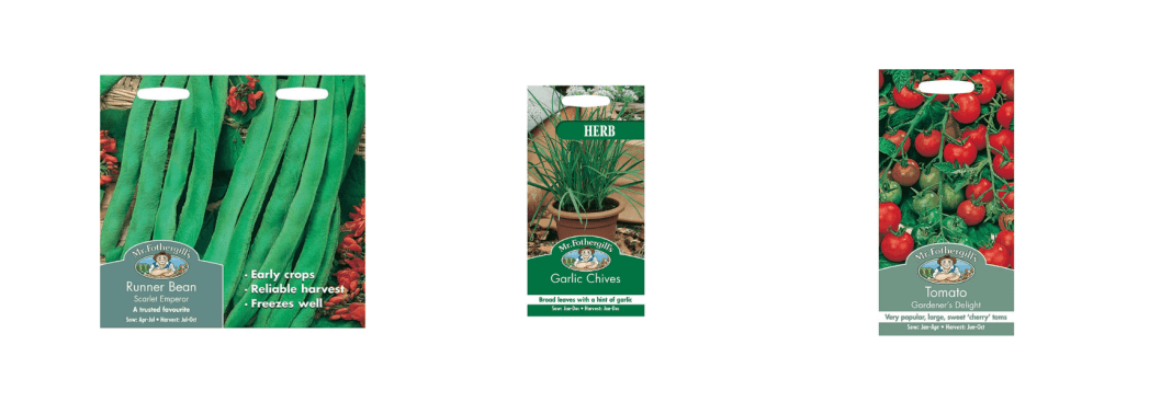 Vegetable Seeds to Sow in November 1