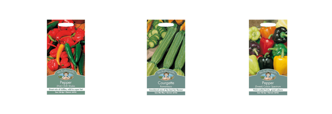 Vegetable Seeds to Sow in November