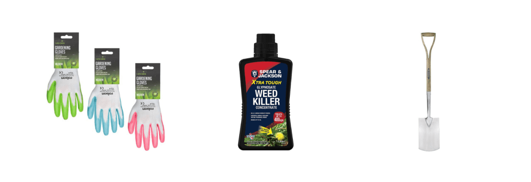 Garden Maintenance Tips for Summer 2