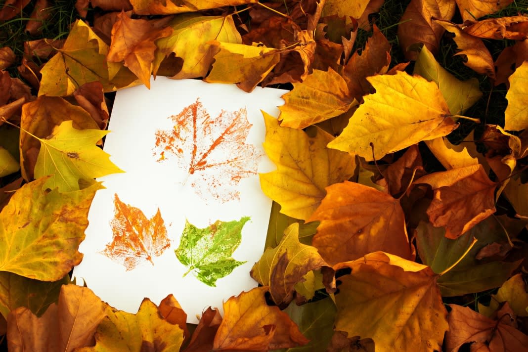 Outdoor Autumn Activities for the whole family - leaf rubbing