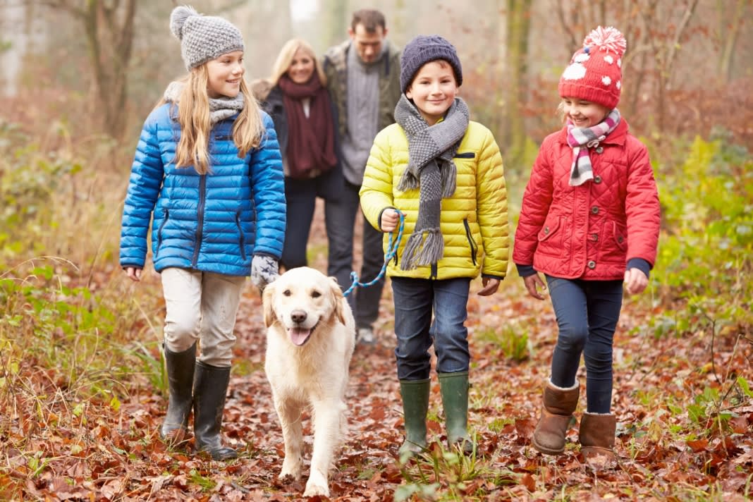 Outdoor Autumn Activities for the whole family - walking