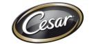 Cesar