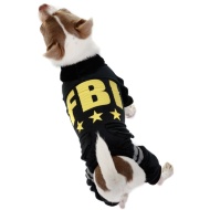 Dog Coats & Clothes at B&M Stores