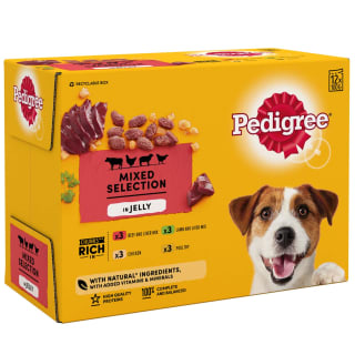 Pedigree Dog Food in Jelly 12pk