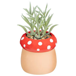 Mushroom Planter