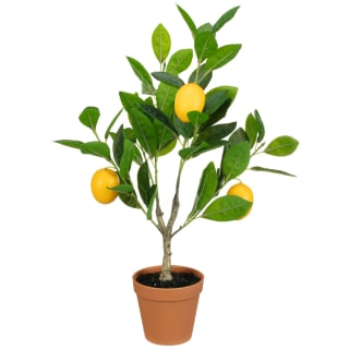 Summer Fruits Lermon Tree Ornament