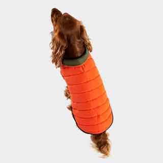 Dog Coats & Clothes