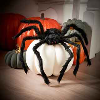 Halloween Decorations