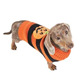 Halloween Pets
