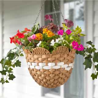 Hanging Baskets