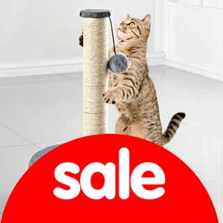 Pets Sale