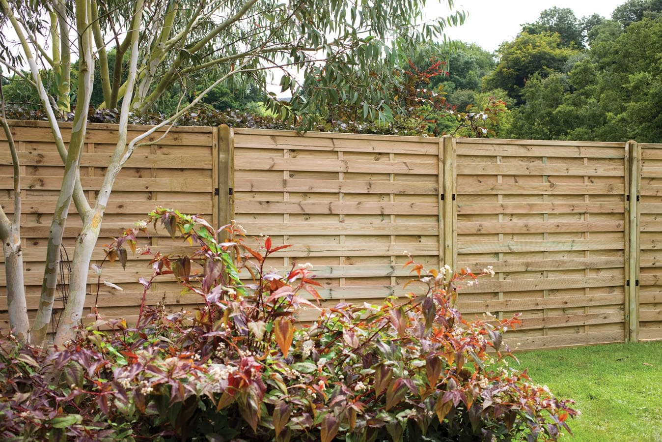 Our LowCost, HighQuality Fence Panels for Gardens B&M Lifestyle