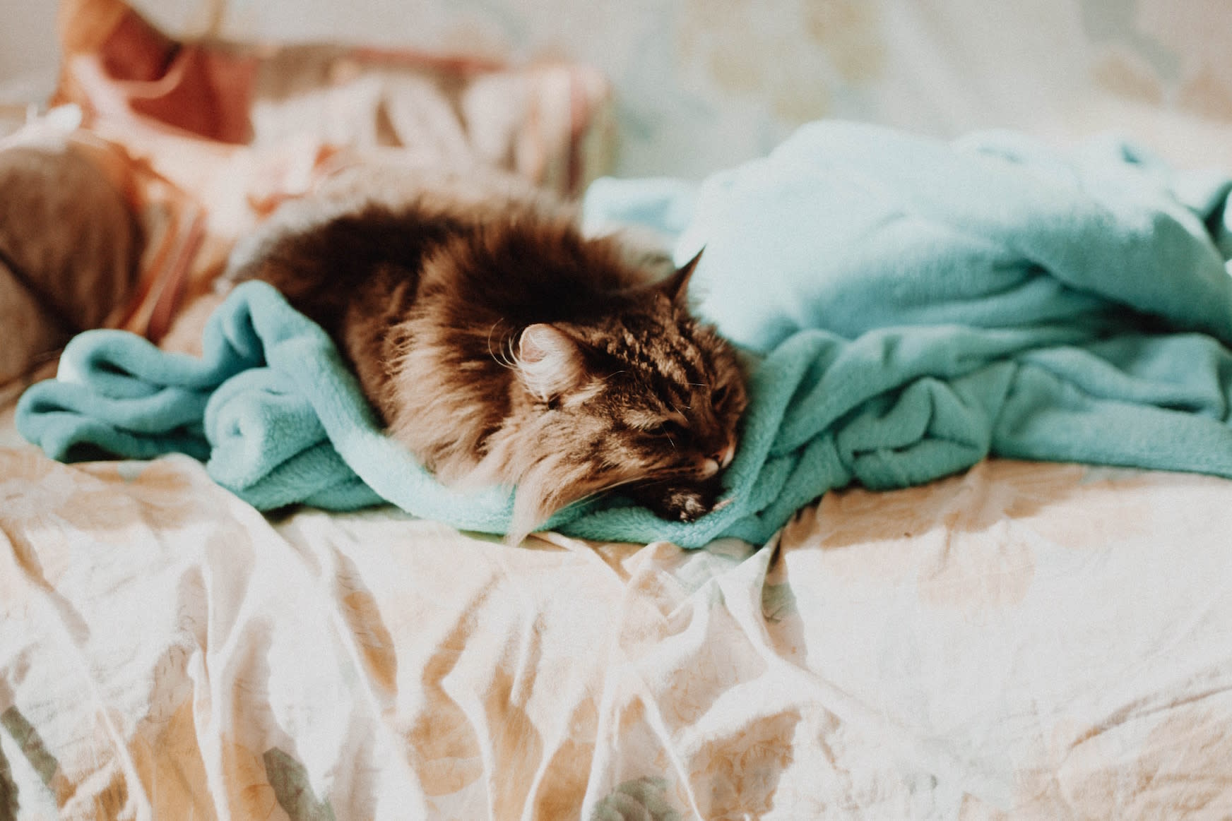 5 Ways to Keep Your Home Toasty in February