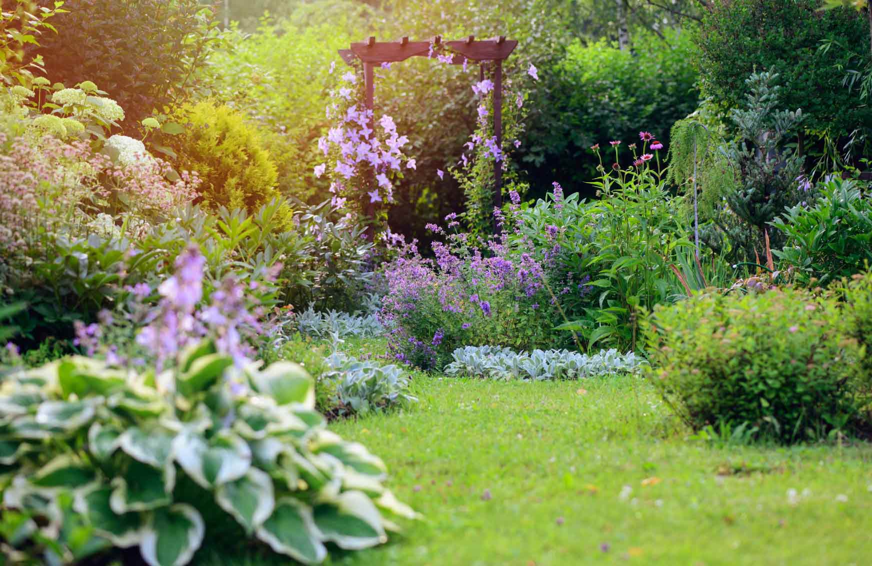 5 Summer Gardening Tips for a Healthy Garden B&M Lifestyle