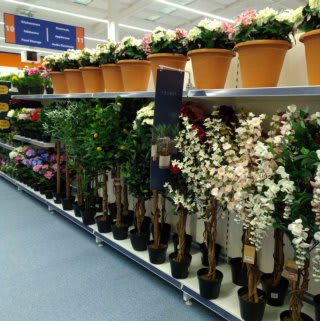 B&M Barnsley has re-opened with a bigger selection of products now available, boasting an extensive range of decorative home accessories like artificial plants and foliage.