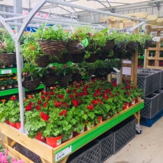 B&M's brand new store in Chepstow boasts an 8,000sqft Garden Centre, with a huge range of ready-to-take-home plants and garden buildings, as well as top soil, arbours, planters and much more.
