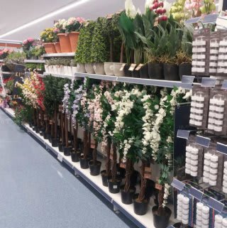 B&M's brand new store in Lichfield boasts a blooming range of beautiful artificial plants and foliage, ideal for indoor and outdoor use.