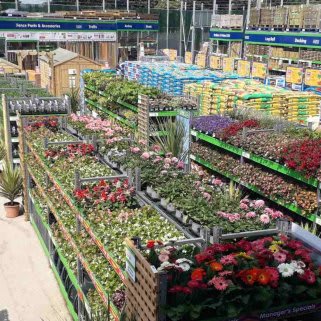 B&M's brand new store in Durham boasts an extensive Garden Centre range; everything from fencing and aggregate, to planters and sheds.