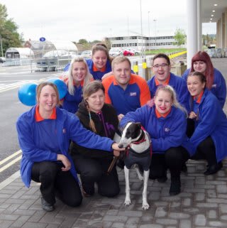 Store staff at B&M Guisborough, located at Cleveland Gate Retail Park, make a fuss of Tiffany the greyhound.
