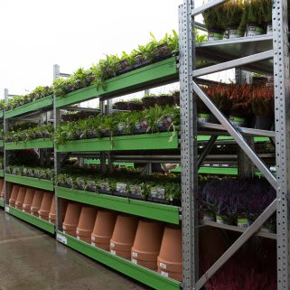 BM-Stockport---Cheadle-Heath-Homestore-with-Garden-Centre-opening--61