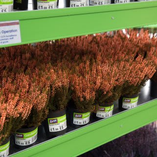 BM-Stockport---Cheadle-Heath-Homestore-with-Garden-Centre-opening--62