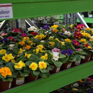 BM-Stockport---Cheadle-Heath-Homestore-with-Garden-Centre-opening--63