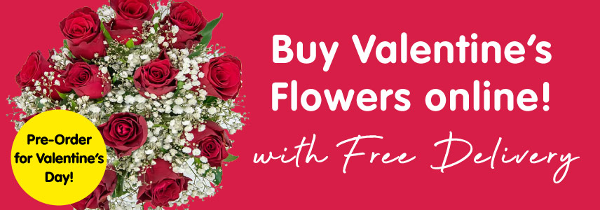 sarah jessica parker lovely gift set b&m