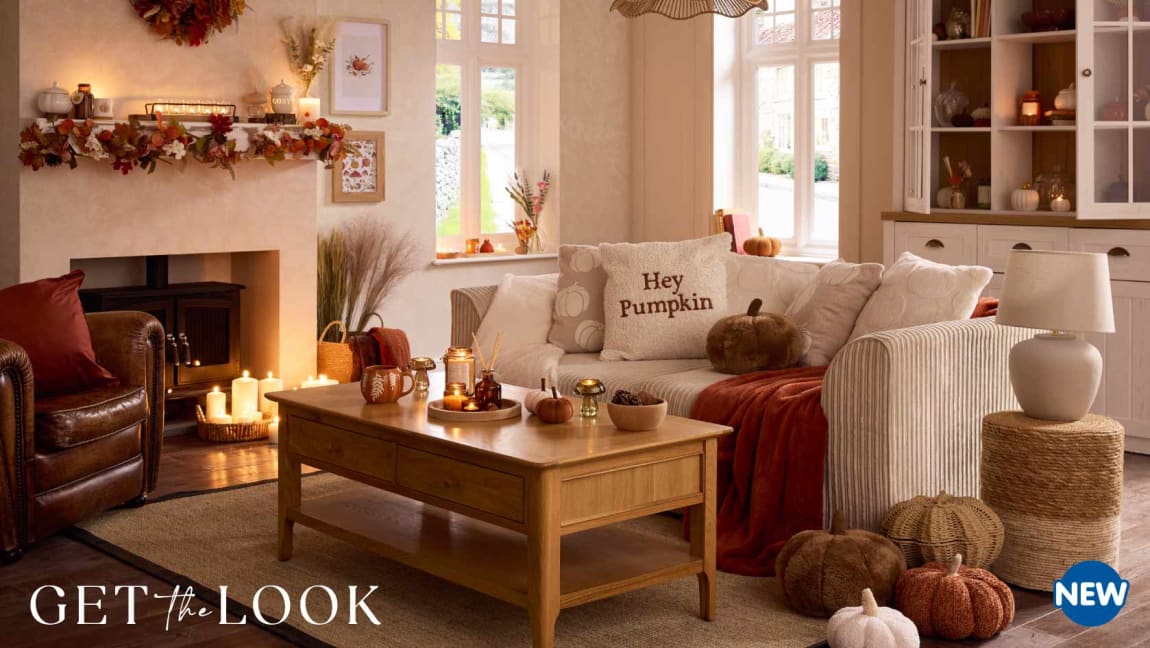 New Autumn Harvest Range at B&M. Cat banner.