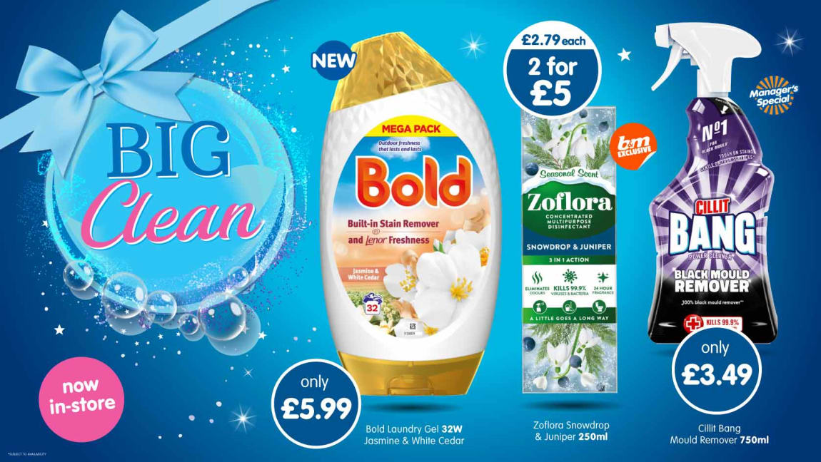 B&M Big Clean Event. Cat banner.