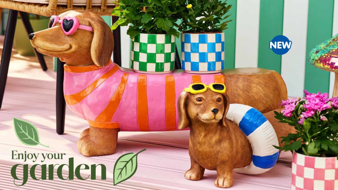 Brights Garden Trend at B&M.