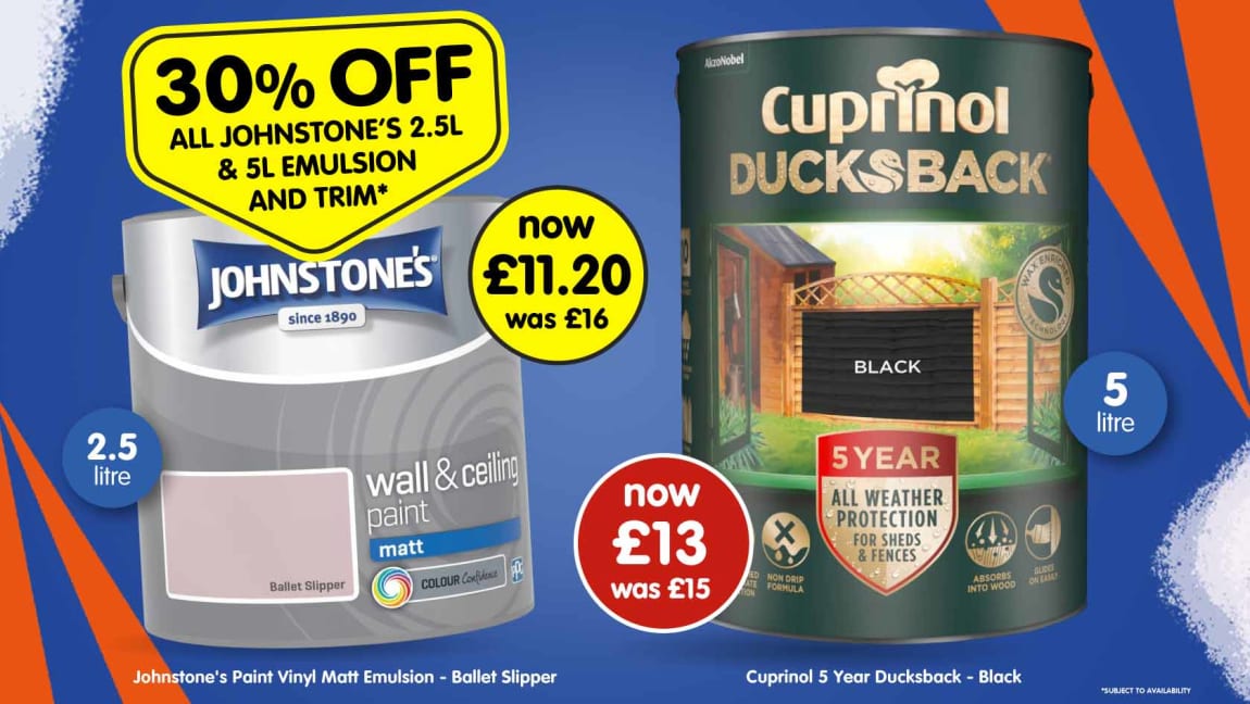 Latest B&M Paint Deals.