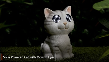 Click here to view the video