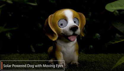 Click here to view the video