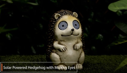 Click here to view the video