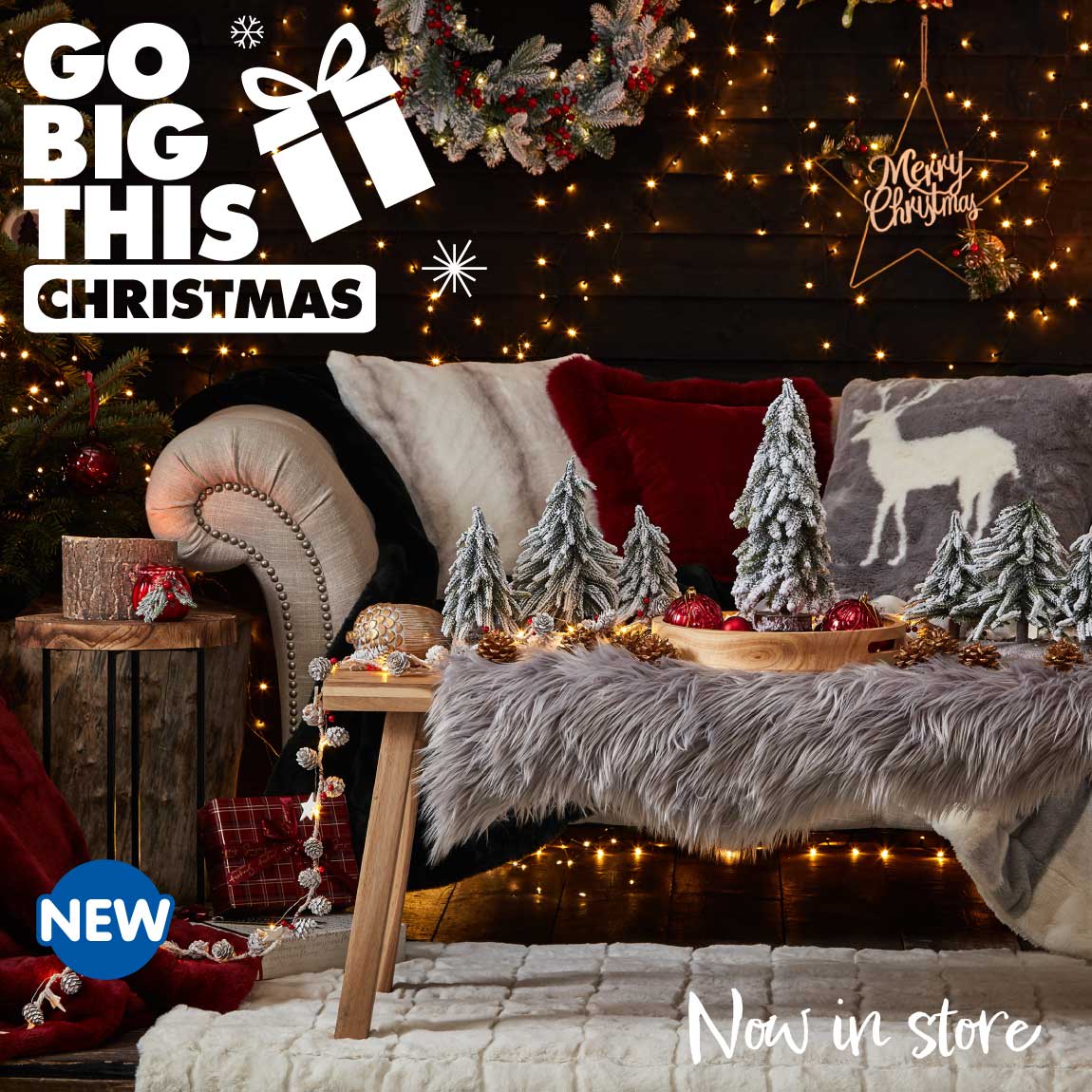 Go Big at Christmas with B&M.