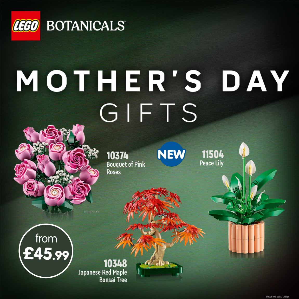 LEGO Mother's Day at B&M.