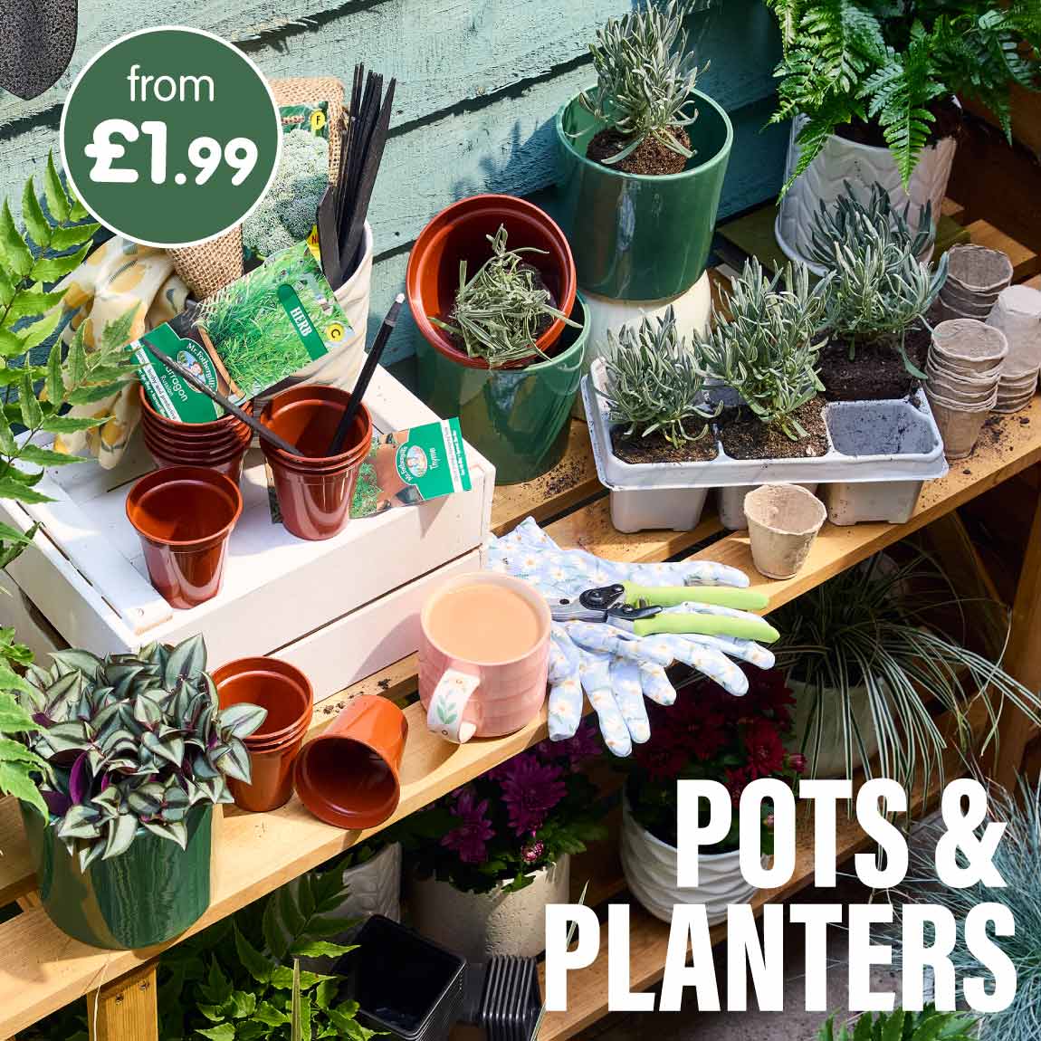 Save on Garden Pots & Planters at B&M.