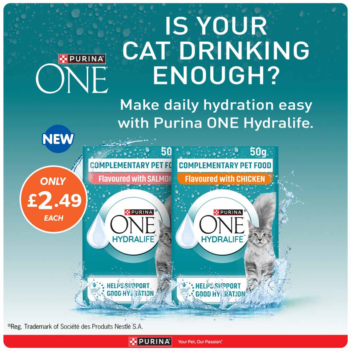 New Purina ONE at B&M.