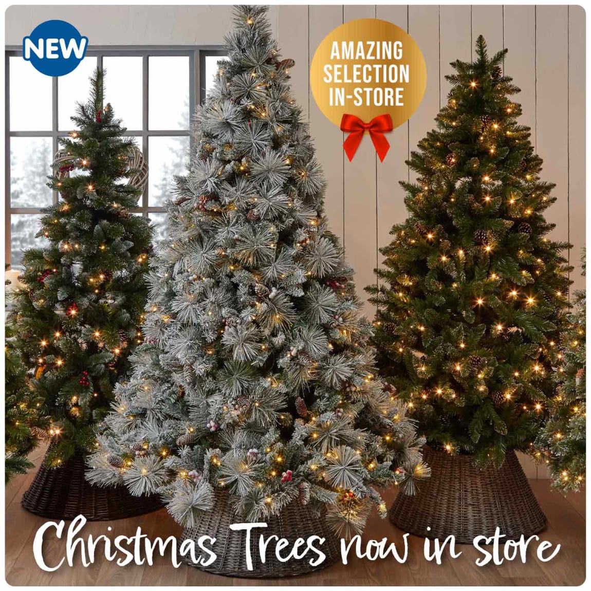 Save on Christmas Trees at B&M.