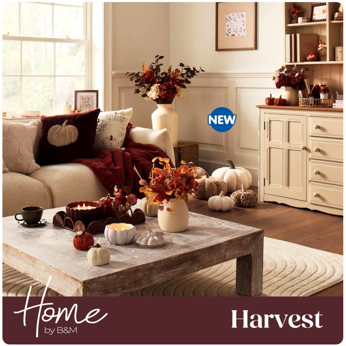 New Harvest Trend at B&M.