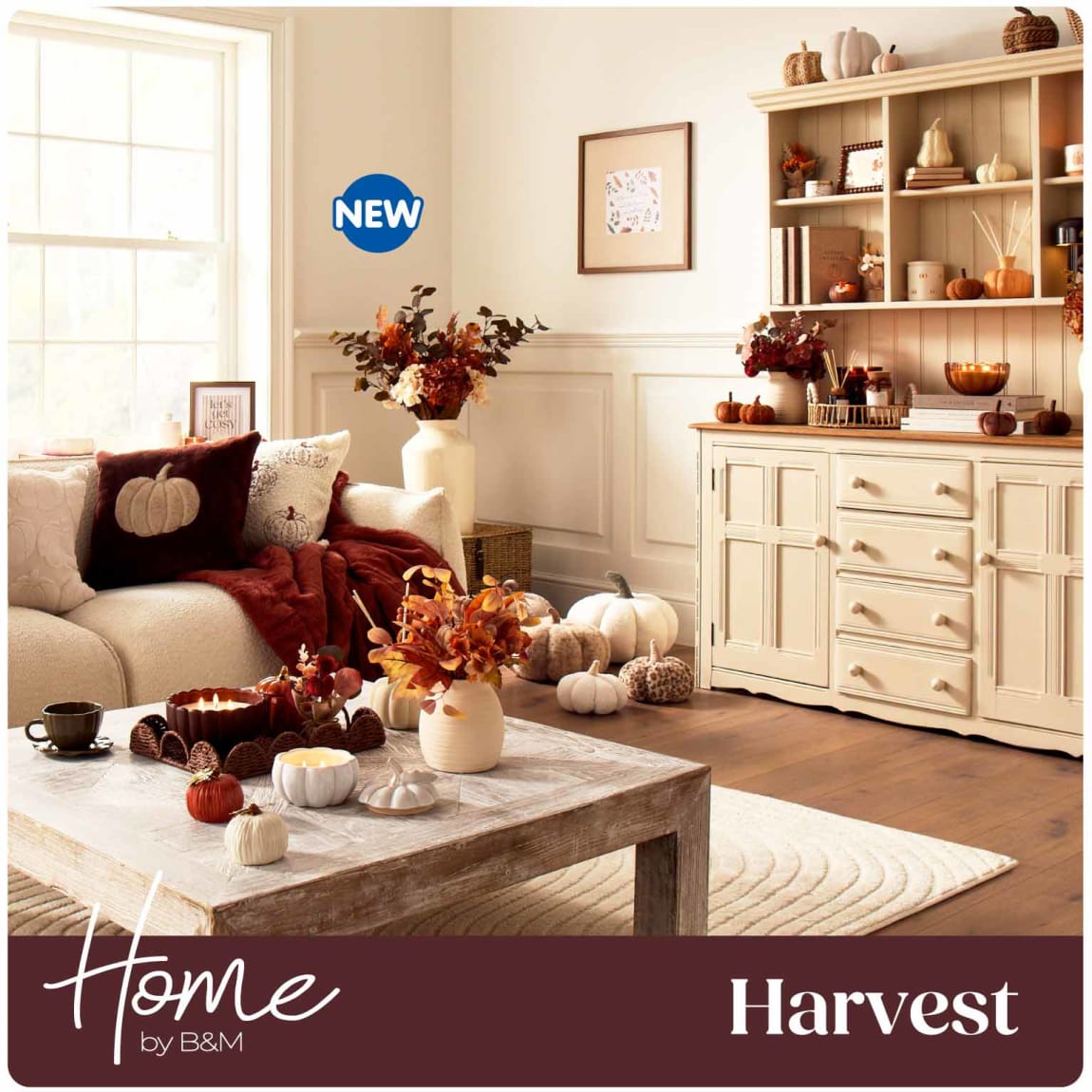 New Harvest Trend at B&M.