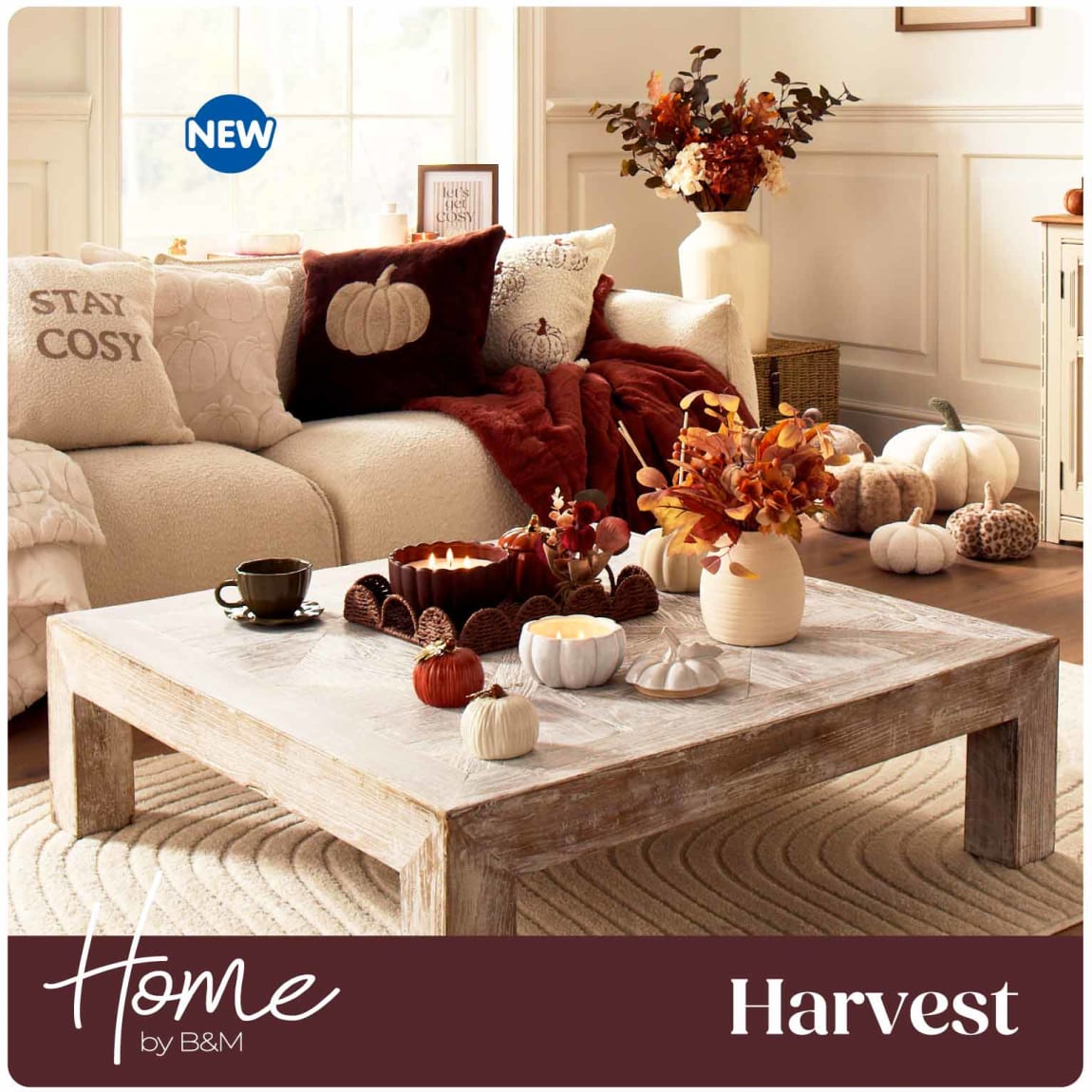 New Harvest Trend at B&M.