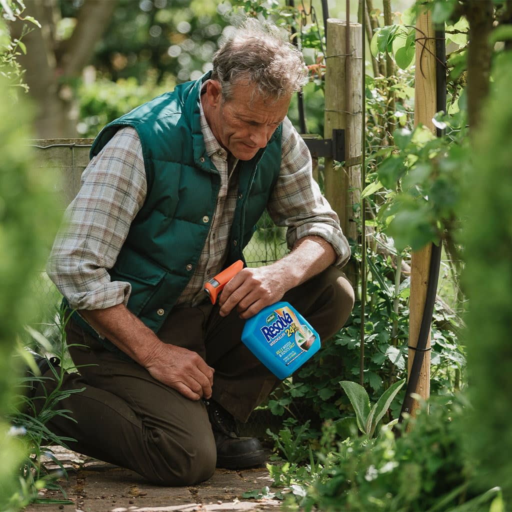 235638-westland-resolva-24hr-weedkiller-5