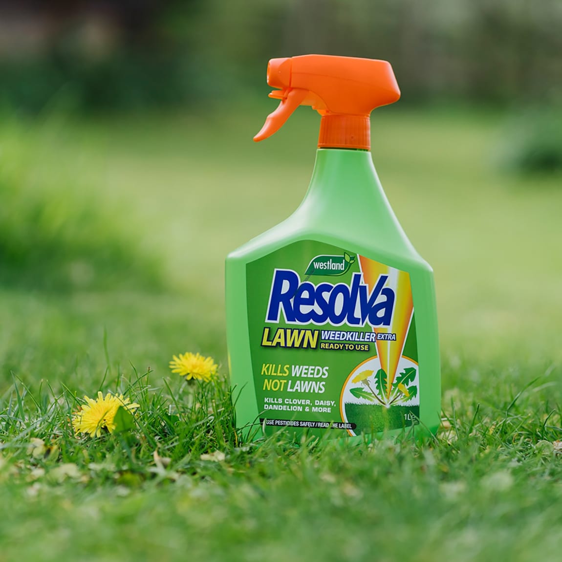245203-westland-resolva-lawn-weedkiller-1l-2