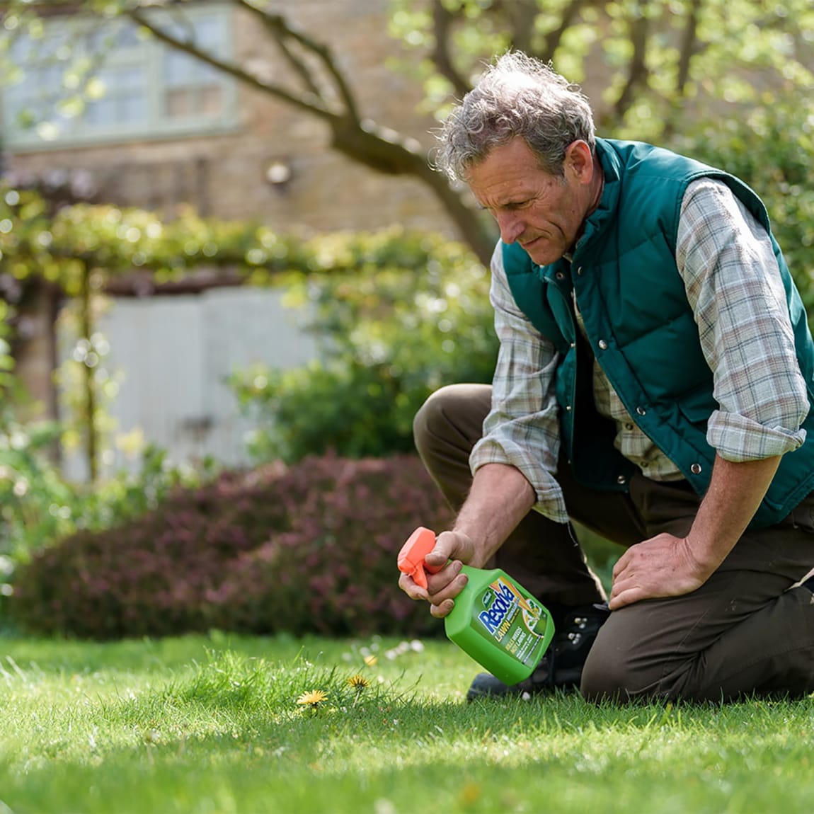 245203-westland-resolva-lawn-weedkiller-1l-3