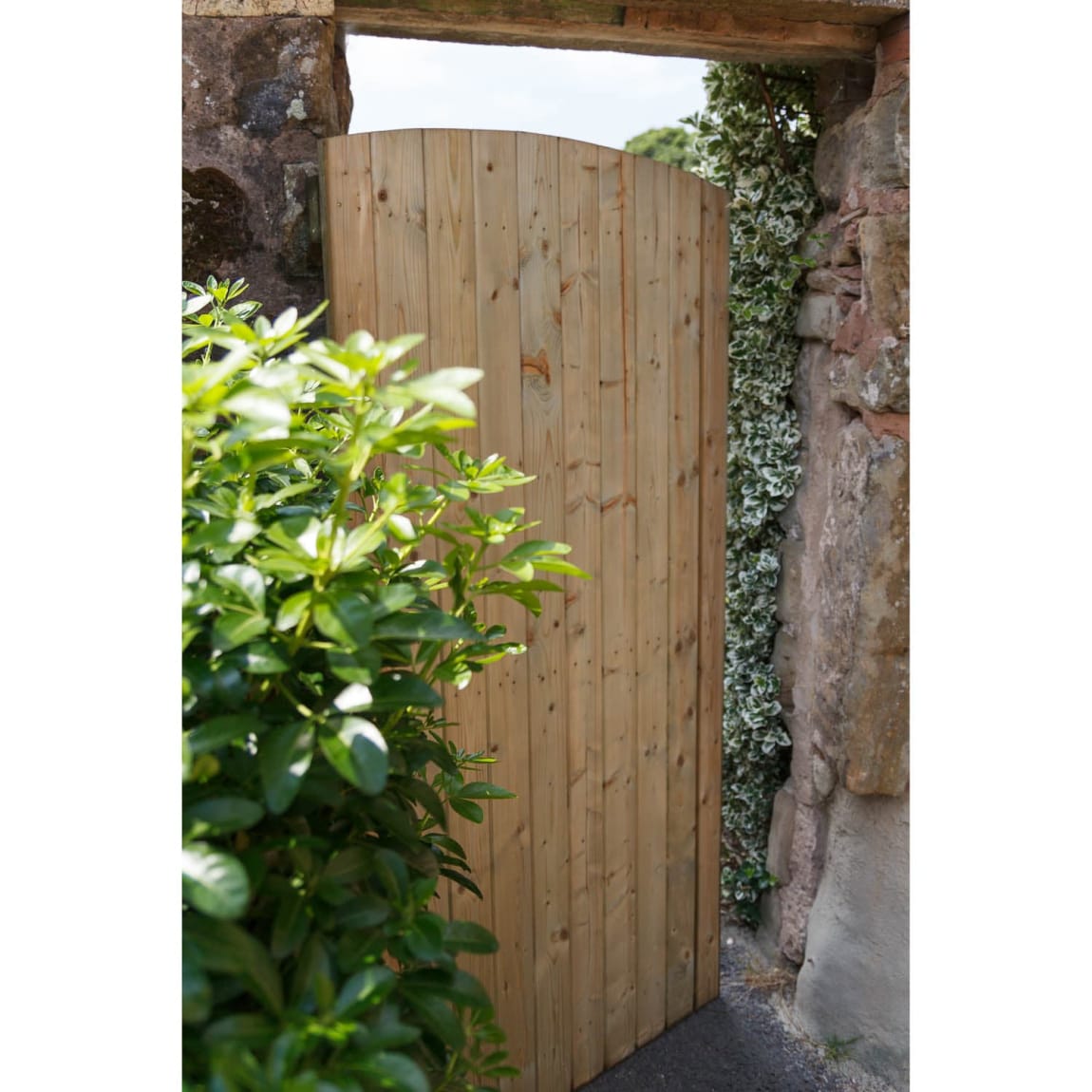 265782-ledged-braced-door-1_8m-3