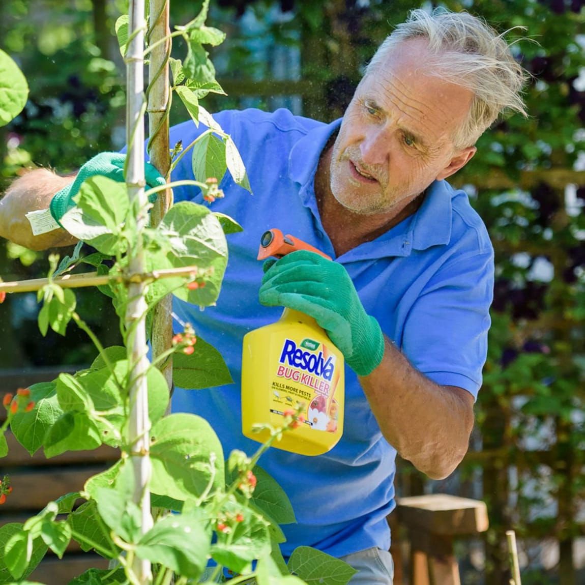 289149-westland-resolva-bug-killer-1l-7