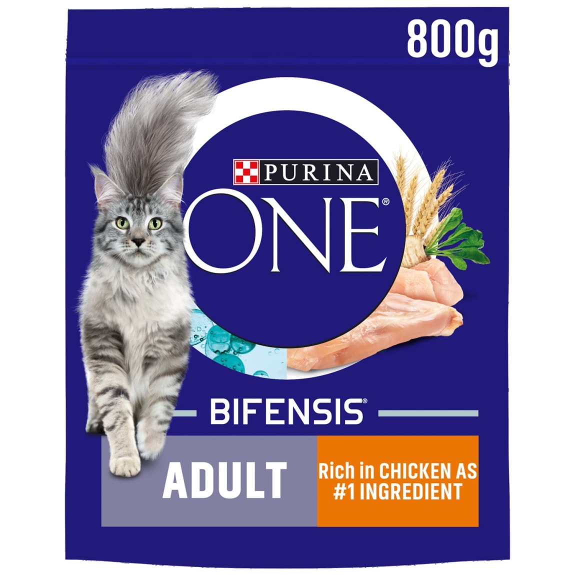 302573-purina-one-adult-chicken-800g