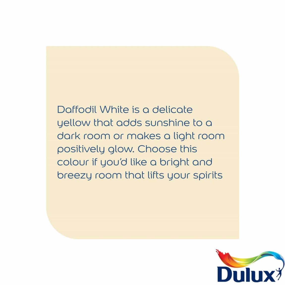 305188-dulux-matt-daffodil-white-2_5l-paint-21