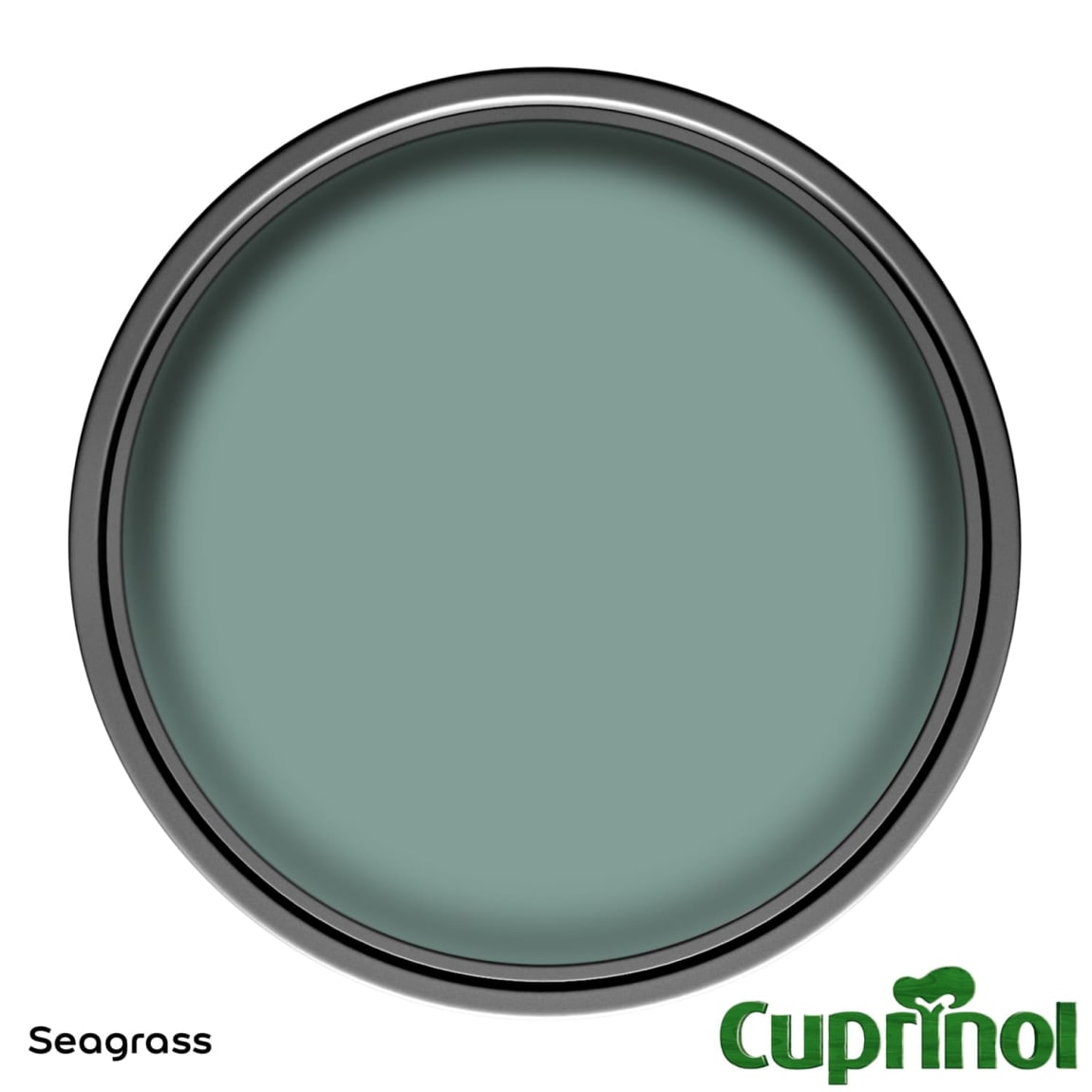 305699-cuprinol-garden-shades-seagrass-1l-paint